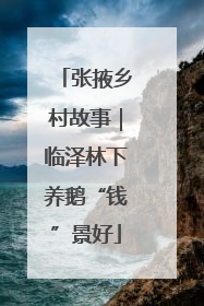 张掖乡村故事｜临泽林下养鹅“钱”景好