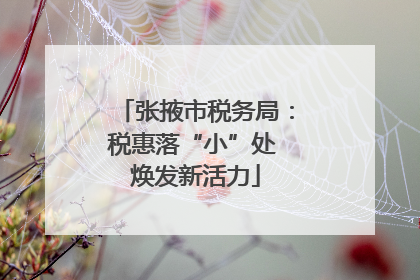 张掖市税务局：税惠落“小”处 焕发新活力