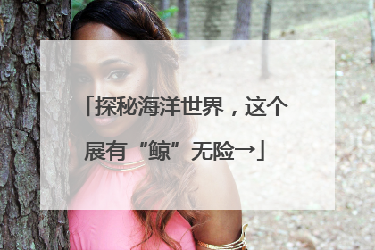探秘海洋世界，这个展有“鲸”无险→
