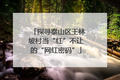 探寻泰山区王林坡村当“红”不让的“网红密码”