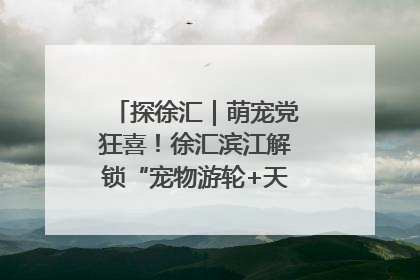 探徐汇｜萌宠党狂喜！徐汇滨江解锁“宠物游轮+天台乐园”双玩法