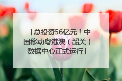 总投资56亿元！中国移动粤港澳（韶关）数据中心正式运行