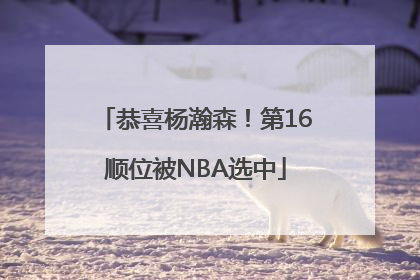 恭喜杨瀚森！第16顺位被NBA选中