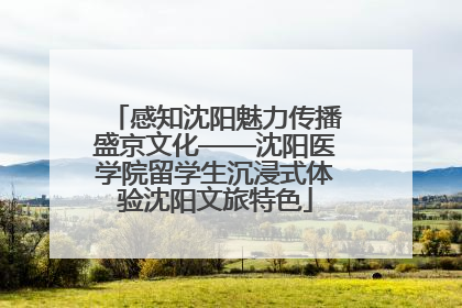 感知沈阳魅力传播盛京文化——沈阳医学院留学生沉浸式体验沈阳文旅特色