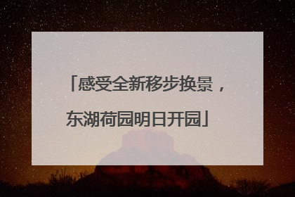 感受全新移步换景，东湖荷园明日开园