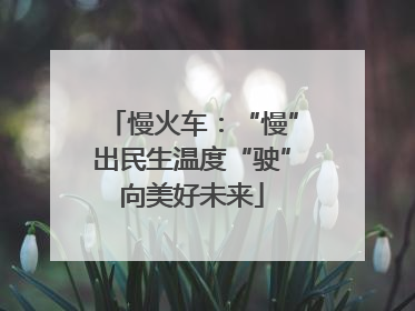 慢火车：“慢”出民生温度“驶”向美好未来