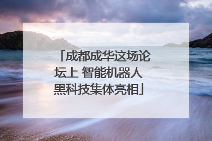 成都成华这场论坛上 智能机器人黑科技集体亮相