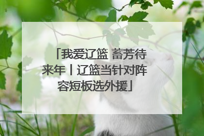 我爱辽篮 蓄芳待来年丨辽篮当针对阵容短板选外援