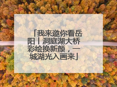 我来邀你看岳阳丨洞庭湖大桥彩绘换新颜，一城湖光入画来