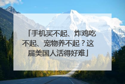 手机买不起、炸鸡吃不起、宠物养不起？这届美国人活得好难