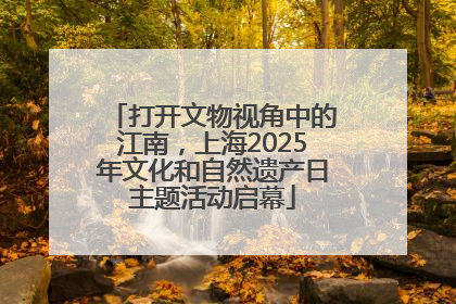 打开文物视角中的江南，上海2025年文化和自然遗产日主题活动启幕