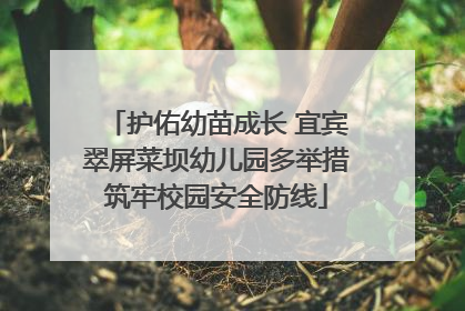 护佑幼苗成长 宜宾翠屏菜坝幼儿园多举措筑牢校园安全防线