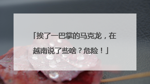 挨了一巴掌的马克龙，在越南说了些啥？危险！