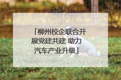 柳州校企联合开展党建共建 助力汽车产业升级