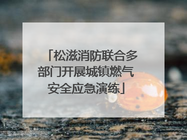 松滋消防联合多部门开展城镇燃气安全应急演练