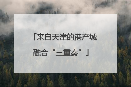 来自天津的港产城融合“三重奏”