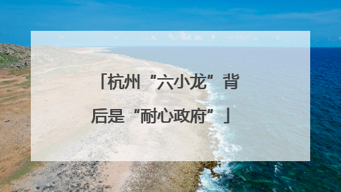 杭州“六小龙”背后是“耐心政府”