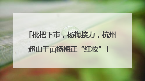 枇杷下市，杨梅接力，杭州超山千亩杨梅正“红妆”