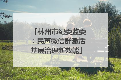林州市纪委监委：民声微信群激活基层治理新效能