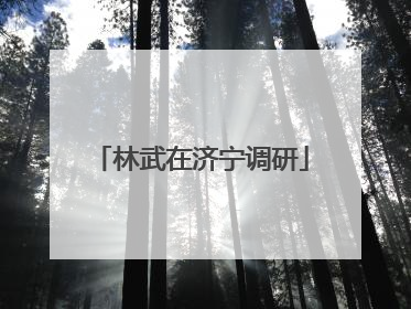 林武在济宁调研