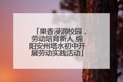 果香浸润校园，劳动培育新人 绵阳安州塔水初中开展劳动实践活动