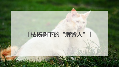 枯杨树下的“解铃人”