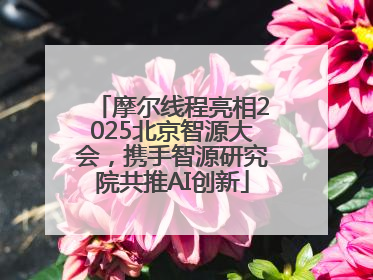 摩尔线程亮相2025北京智源大会，携手智源研究院共推AI创新