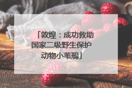 敦煌：成功救助国家二级野生保护动物小苇鳽