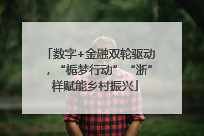 数字+金融双轮驱动，“栀梦行动”“浙”样赋能乡村振兴
