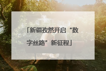 新疆孜然开启“数字丝路”新征程