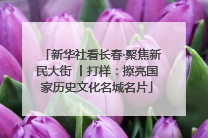 新华社看长春·聚焦新民大街 丨打样：擦亮国家历史文化名城名片