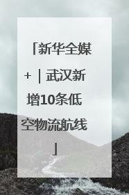 新华全媒+｜武汉新增10条低空物流航线