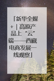新华全媒+｜高原产品上“云”端——西藏电商发展一线观察