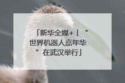 新华全媒+丨“世界机器人嘉年华”在武汉举行