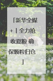 新华全媒+丨全力抢收夏粮 确保颗粒归仓