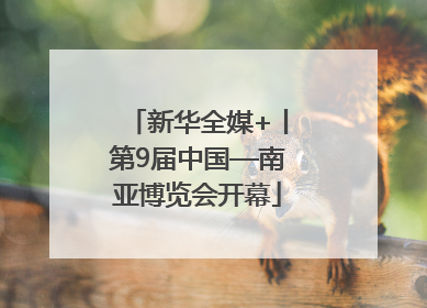 新华全媒+丨第9届中国—南亚博览会开幕