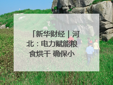 新华财经｜河北：电力赋能粮食烘干 确保小麦高质量归仓