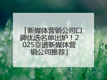 新媒体营销公司口碑优选名单出炉！2025靠谱新媒体营销公司推荐
