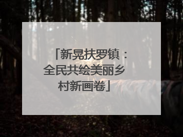 新晃扶罗镇：全民共绘美丽乡村新画卷