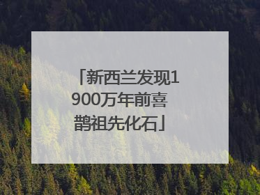 新西兰发现1900万年前喜鹊祖先化石