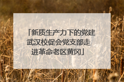 新质生产力下的党建 武汉校促会党支部走进革命老区黄冈