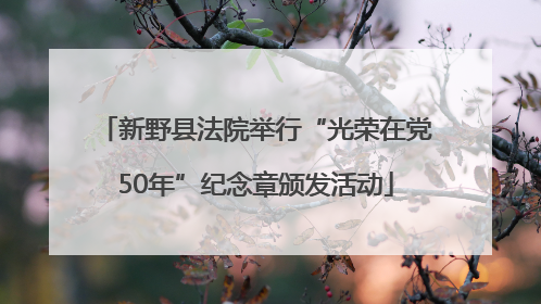 新野县法院举行“光荣在党50年”纪念章颁发活动