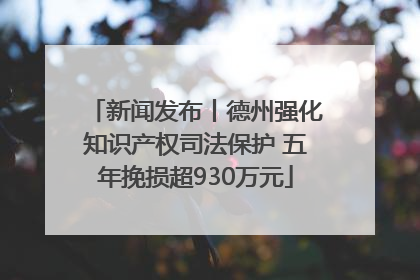 新闻发布丨德州强化知识产权司法保护 五年挽损超930万元