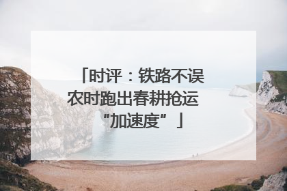 时评：铁路不误农时跑出春耕抢运“加速度”