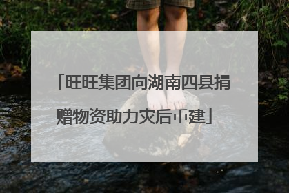 旺旺集团向湖南四县捐赠物资助力灾后重建