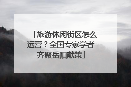 旅游休闲街区怎么运营？全国专家学者齐聚岳阳献策