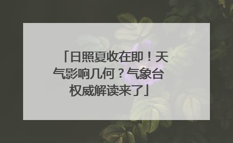 日照夏收在即！天气影响几何？气象台权威解读来了