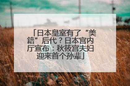 日本皇室有了“美籍”后代？日本宫内厅宣布：秋筱宫夫妇迎来首个孙辈