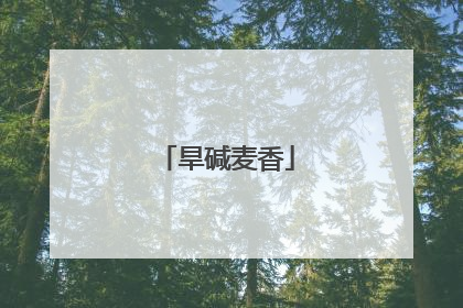 旱碱麦香