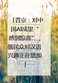 普京：对中国AI成果“感到惊喜”，俄民众对汉语兴趣正在增加